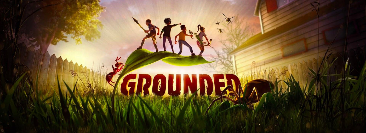 Grounded collection banner
